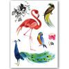 Temporary Tattoo Vogel/Flamingo/Pauw (A5 formaat)